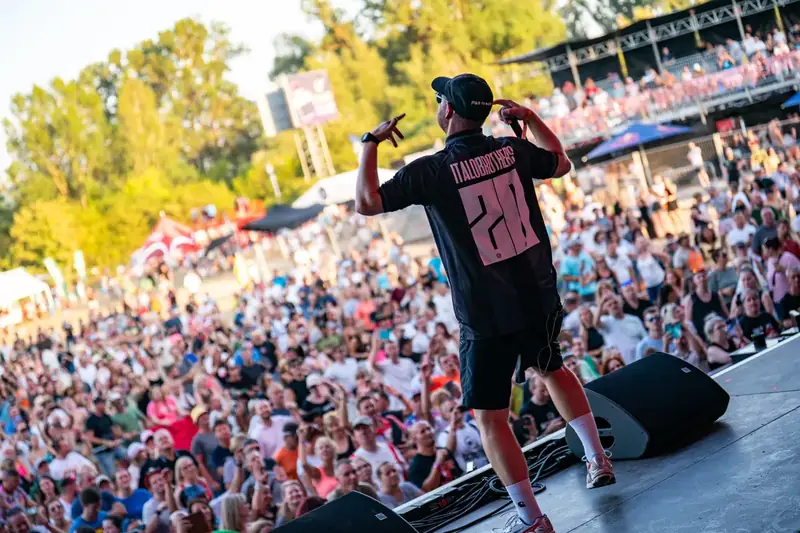 Artist on stage and a crowd of fans
